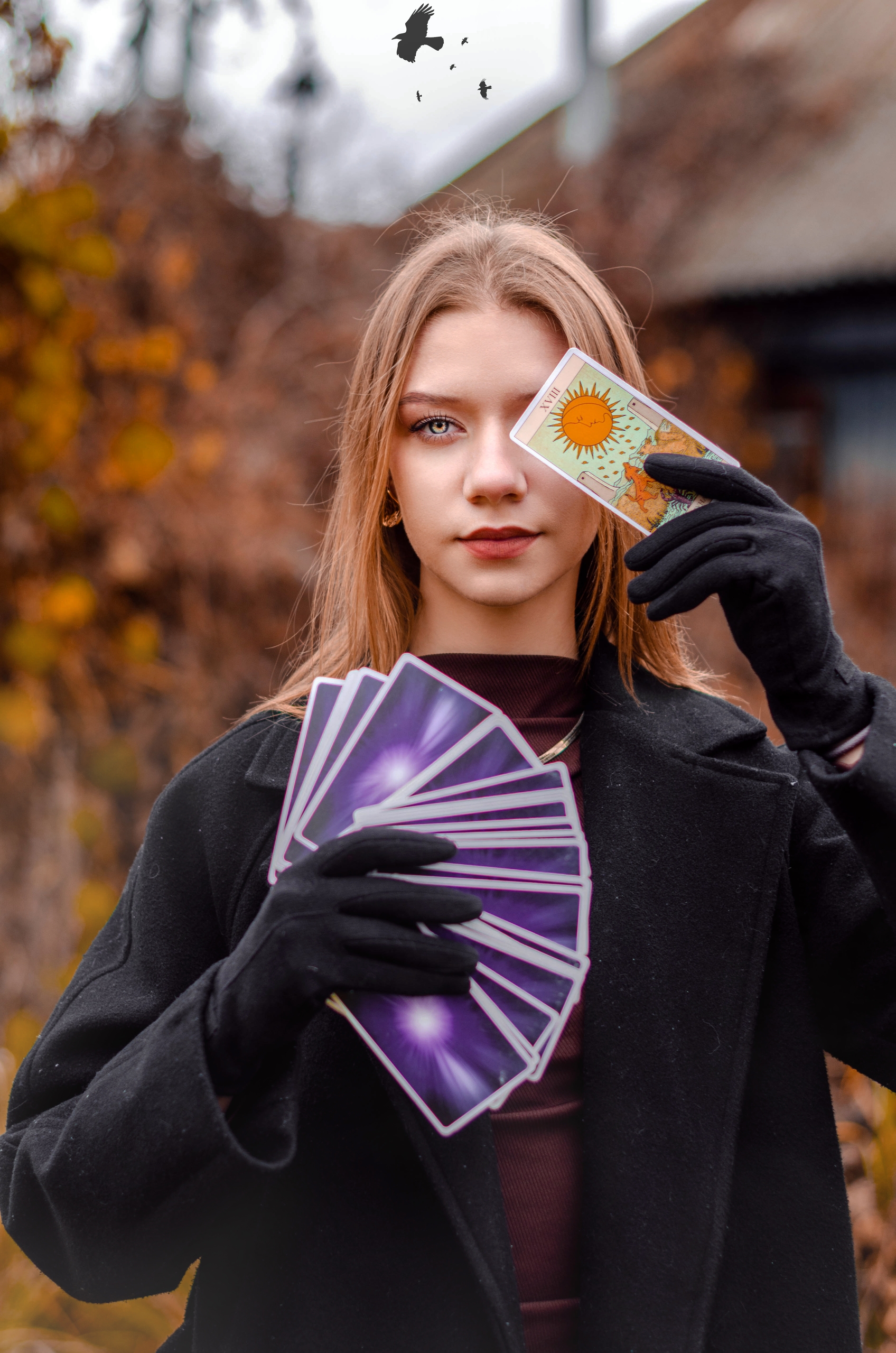Образная серия 5